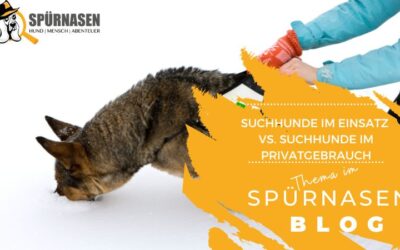 Suchhunde im Einsatz vs. Suchhunde im Privatgebrauch